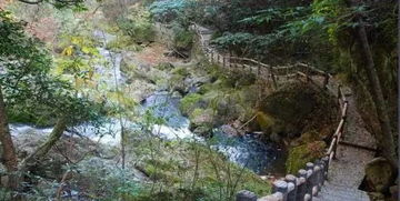 湖北旅游名单公布,湖北著名旅游