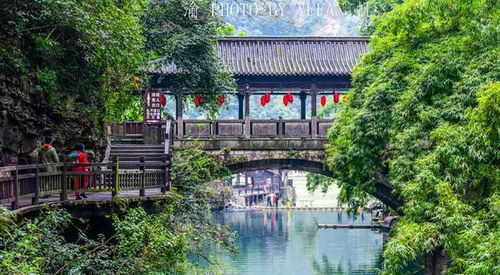 重庆自驾湖北旅游,重庆到湖北旅游