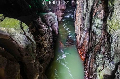 重庆自驾湖北旅游,重庆到湖北旅游