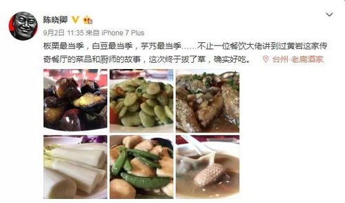 湖北美食调查800字记录,介绍湖北美食的纪录片