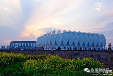 旅游不要湖北荆州人吗的简单介绍