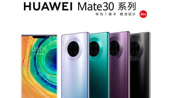 外国人怎么买华为mate60,外国人用华为mate30pro