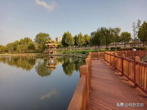 滨江公园湖北荆州旅游,荆州滨江公园有哪些植物