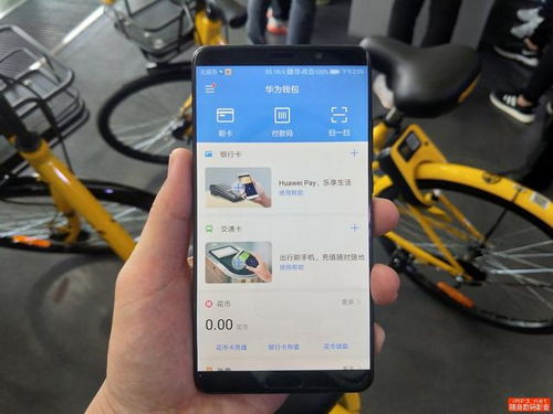 华为mate60支付宝不让支付,华为钱包不支持支付宝付款码