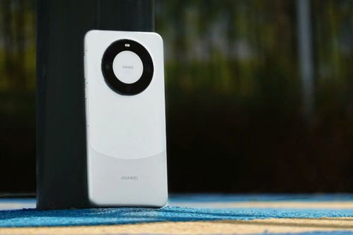 华为mate60扩展卡,华为mate10拓展卡