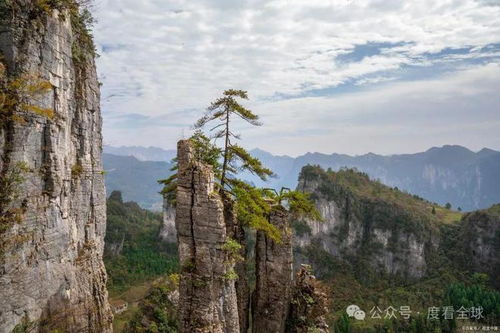 去湖北恩施旅游攻略路线图,去湖北恩施要怎么玩
