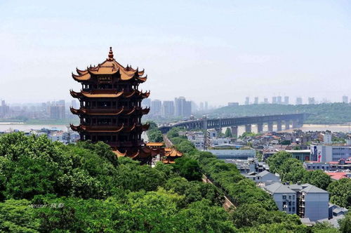 湖北人可以外省旅游吗吗,湖北人可以去外地吗