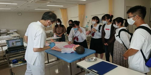 高考湖北旅游,湖北旅游专业技能高考学校