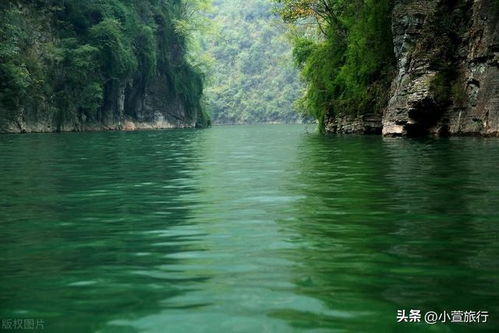 长江游船湖北旅游卡,武汉长江游船预约