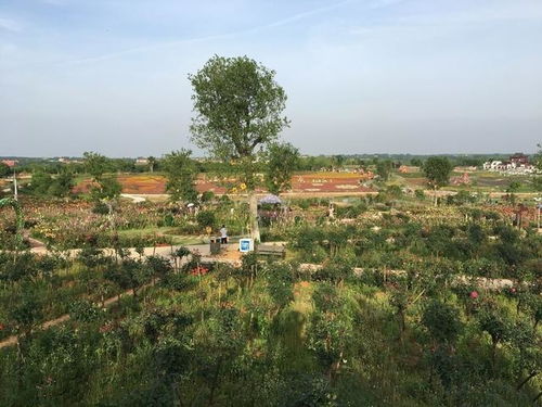 湖北应城红色旅游,湖北应城景点