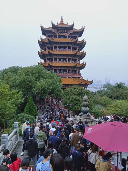 湖北组团旅游价格,湖北旅游旅行团