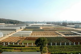 湖北旅游攻略李老师,湖北旅游指南 湖北旅游攻略李老师,湖北旅游指南