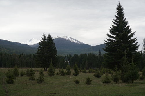 喀纳斯湖北旅游,喀纳斯湖自驾游 喀纳斯湖北旅游,喀纳斯湖自驾游