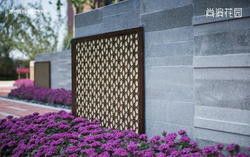 湖北喜子旅游视频,喜子旅游近期活动