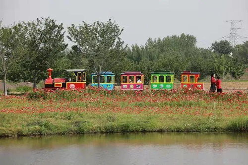 湖北适合天冷旅游的,湖北适合天冷旅游的地方