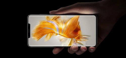 年轻人买华为mate60还是p60,华为mate6好用吗