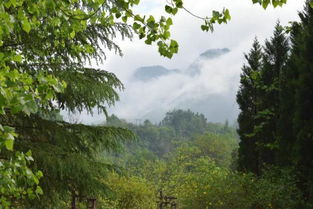 湖北旅游背景文化,湖北旅游背景文化特色