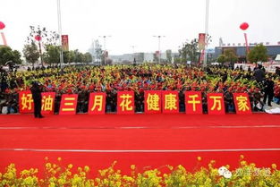 湖北沙洋旅游业,湖北沙洋旅游业发展情况 湖北沙洋旅游业,湖北沙洋旅游业发展情况