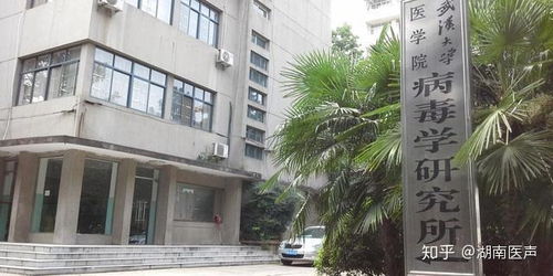 春天的湖北旅游,华西医院看抑郁症挂什么科 春天的湖北旅游,华西医院看抑郁症挂什么科