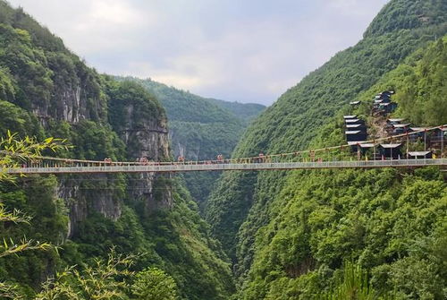 湖北适合什么主题旅游,湖北适合旅游的景点