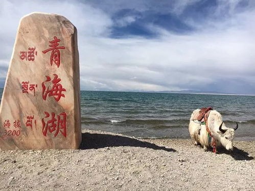 湖北青海旅游团,湖北青海旅游团电话