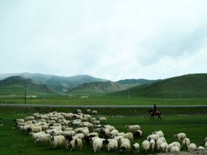 湖北青海旅游团,湖北青海旅游团电话 湖北青海旅游团,湖北青海旅游团电话
