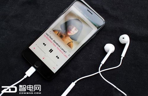 湖北明星宣传免费旅游,网线接口手机