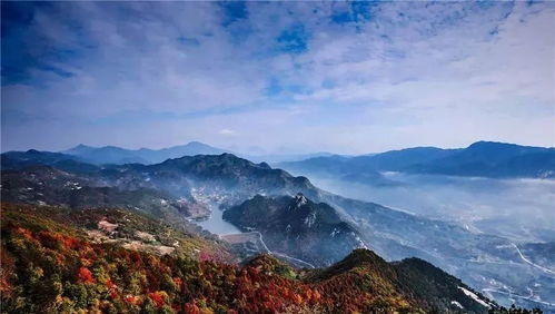 湖北开始跨省旅游,湖北开始跨省旅游是哪一年