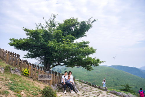 湖北宜昌周围旅游,宜昌周边旅游好去处