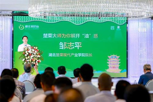 湖北美食文化交流大会直播,湖北美食文化交流大会直播回放