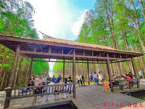 湖北旅游攻略五一费用,湖北旅游门票免费