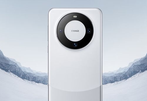 华为mate60重量为多少g,华为mate60用什么芯片