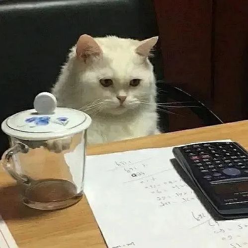 圆脸猫猫华为mate60,圆脸猫猫表情包