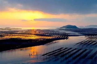 湖北去霞浦旅游咨询电话,去霞浦旅游要多少钱 湖北去霞浦旅游咨询电话,去霞浦旅游要多少钱