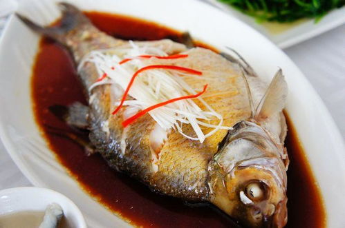 湖北美食鱼绘画,湖北鱼特色