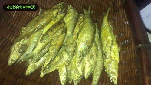 湖北美食鱼绘画,湖北鱼特色