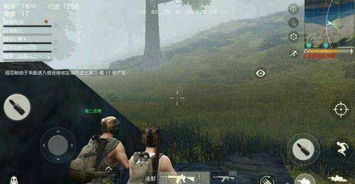 湖北美女新疆旅游,荒野行动怎么按到探头不能移动视角