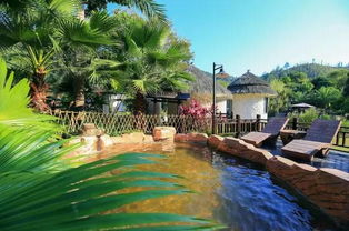 湖北温泉之城旅游,湖北温泉小镇在哪里