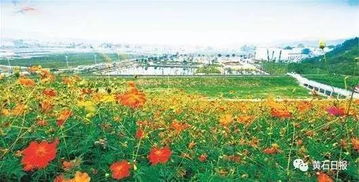 湖北大冶乡村旅游,湖北省大冶市周边旅游