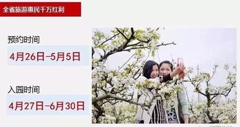 湖北发放旅游券,湖北发放旅游券的公司