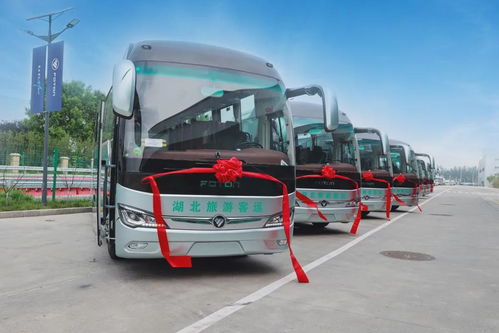 湖北汽车旅游,湖北旅游客车