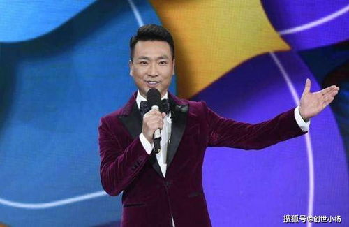 央视主持人吃湖北美食吗,央视主持过美食节目的男主持人