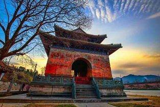 湖北旅游木结构价格走势,湖北古建筑木材供应