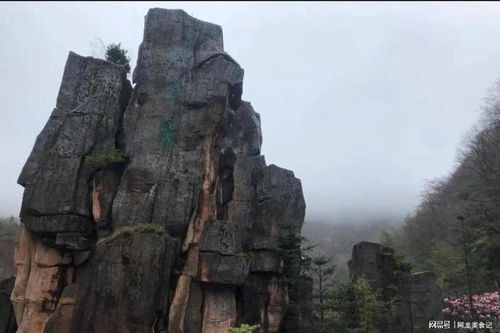 湖北旅游行情,湖北旅游预订