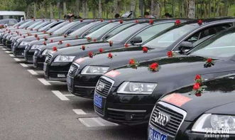 湖北荆门旅游车队,荆门旅游租车公司