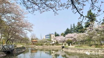 湖北潜江田关河旅游风景区,潜江田关河水利风景区