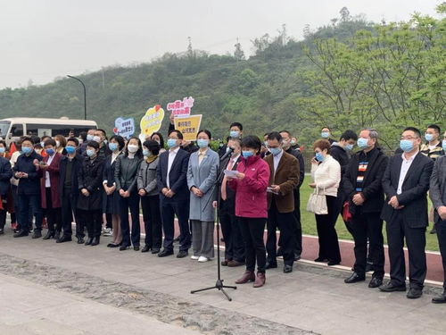 重庆医疗队员去湖北旅游,重庆医疗队回家