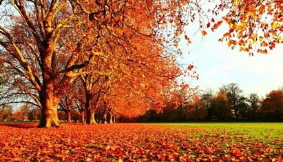 湖北秋天旅游的景点,湖北秋天旅游的景点排名