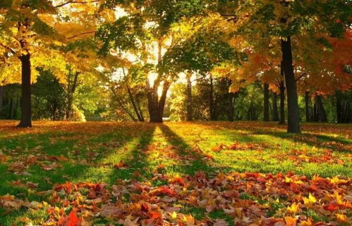 湖北秋天旅游的景点,湖北秋天旅游的景点排名