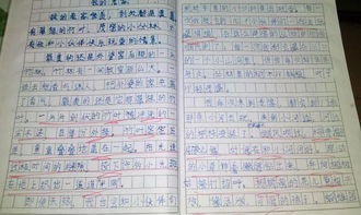 湖北美食的描写片段作文,湖北的小吃作文